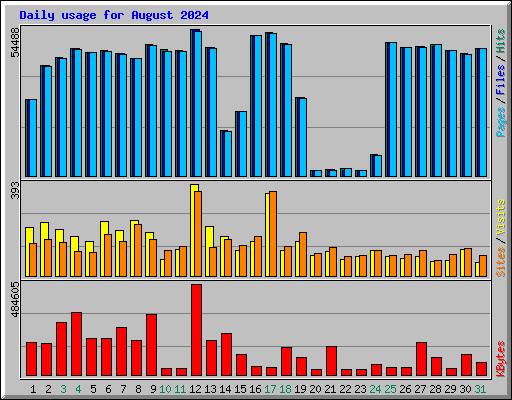 Daily usage for August 2024