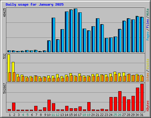 Daily usage for January 2025