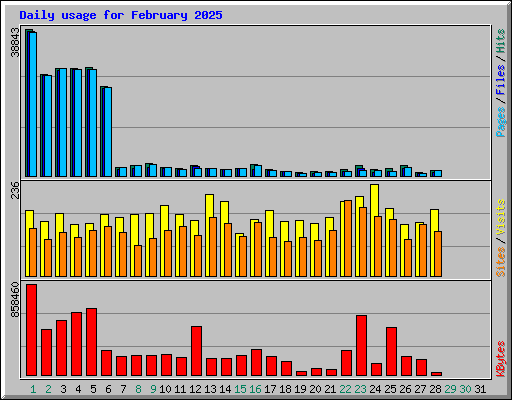 Daily usage for February 2025