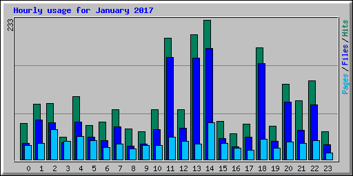 Hourly usage for January 2017