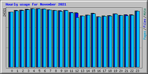 Hourly usage for November 2021