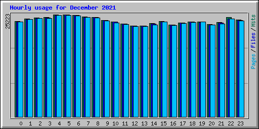 Hourly usage for December 2021