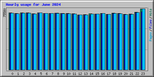 Hourly usage for June 2024