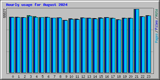 Hourly usage for August 2024