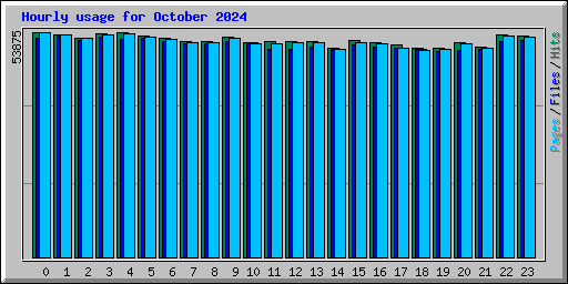 Hourly usage for October 2024