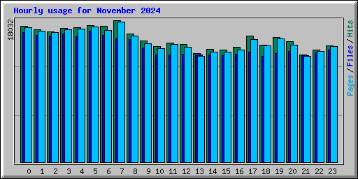 Hourly usage for November 2024