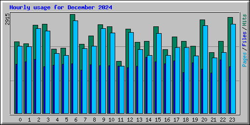 Hourly usage for December 2024