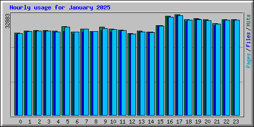 Hourly usage for January 2025