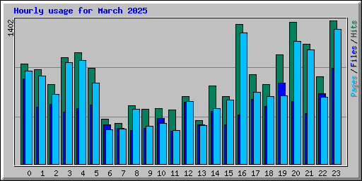 Hourly usage for March 2025