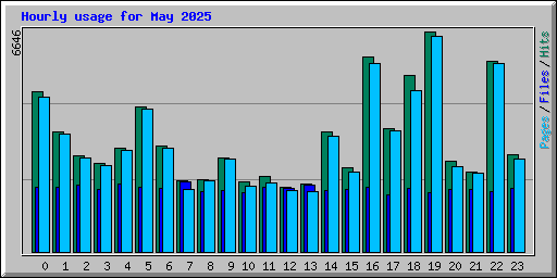Hourly usage for May 2025