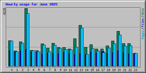 Hourly usage for June 2025