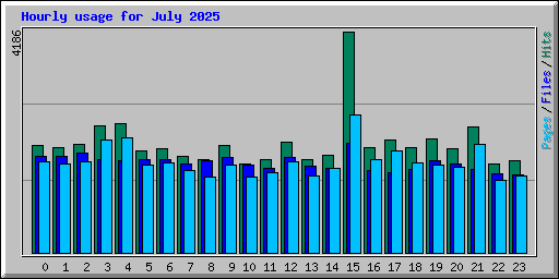 Hourly usage for July 2025