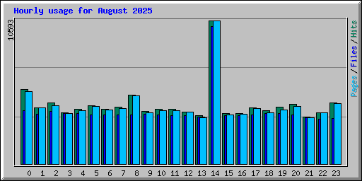 Hourly usage for August 2025