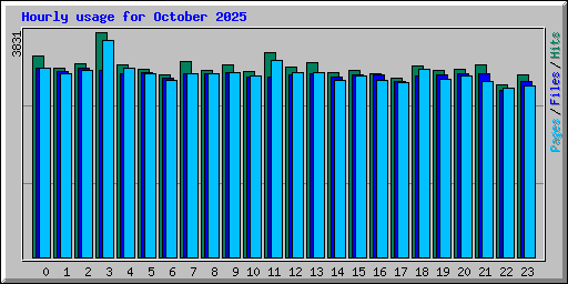 Hourly usage for October 2025
