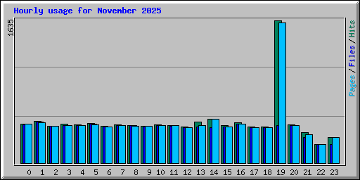 Hourly usage for November 2025
