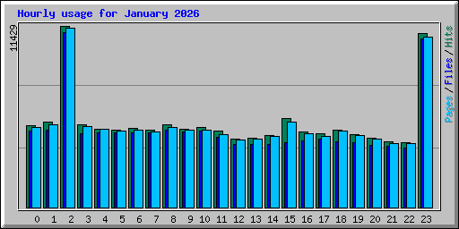 Hourly usage for January 2026