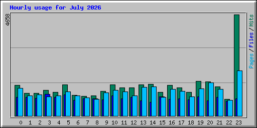 Hourly usage for July 2026